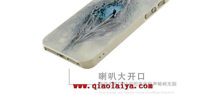 iPhone 5/5S oeil dans le ciel peint reliefs téléphone coque téléphonie mobile ensembles