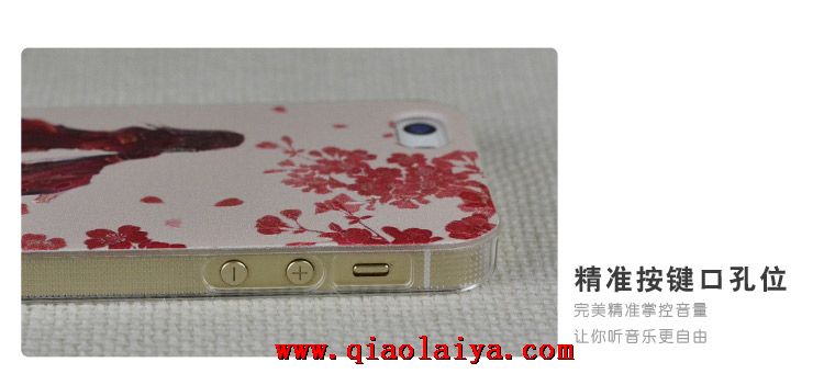 Apple beauté antique téléphone de secours coque iPhone 5/5s peinture housse